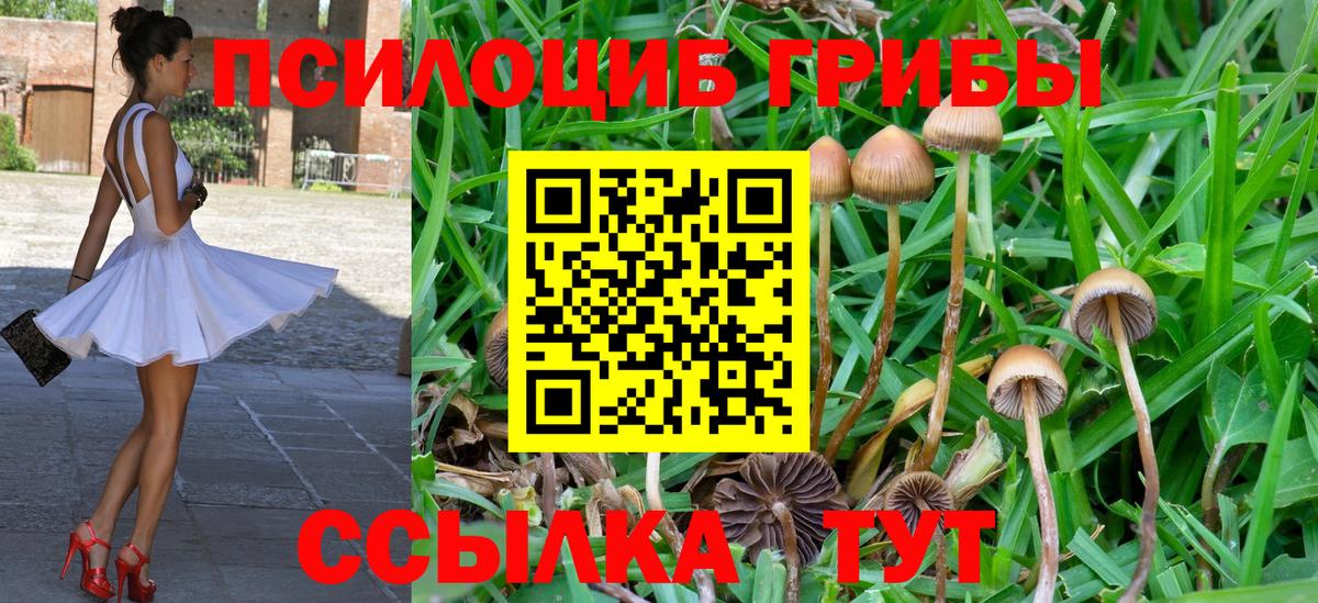 Галлюциногенные грибы мухоморы Лангепас