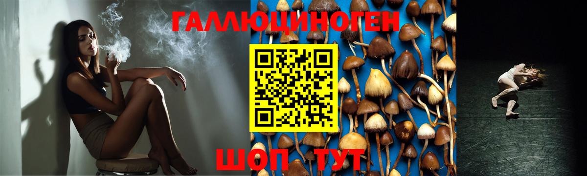 Лангепас  Псилоцибиновые грибы мицелий  Вход с VPN 